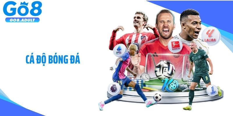 Cá Độ Bóng Đá: Hướng Dẫn Tham Gia Đặt Cược Tại Nhà Cái