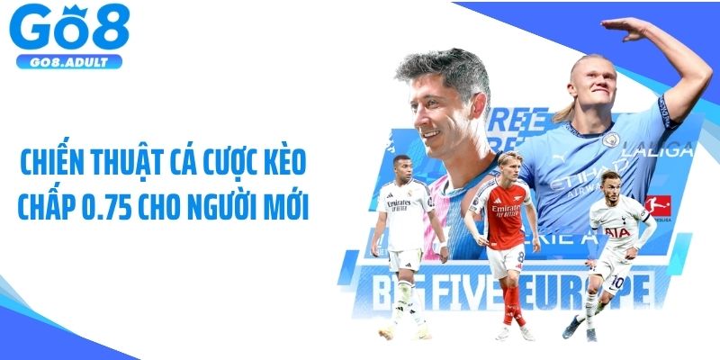 Chiến thuật cá cược kèo chấp 0.75 cho người mới