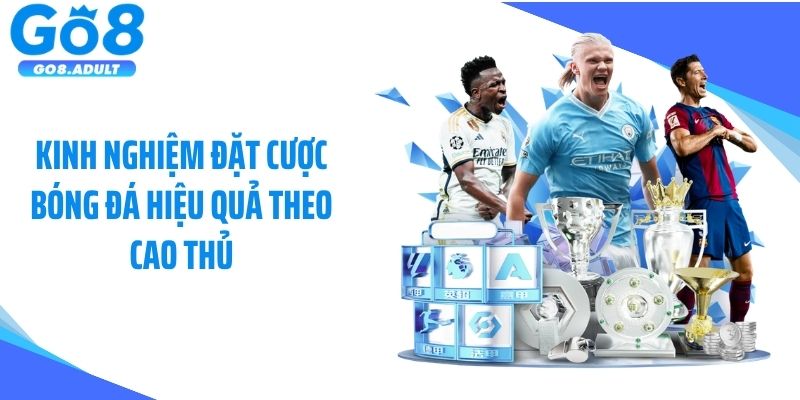 Kinh nghiệm đặt cược bóng đá hiệu quả theo cao thủ