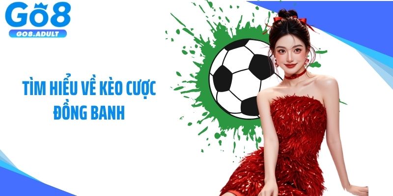 Tìm hiểu về kèo cược đồng banh